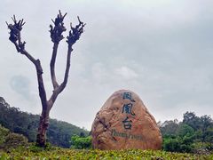 -火炉山森林公园