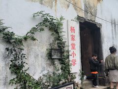 -杨家堂村