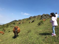 -大姆山草场