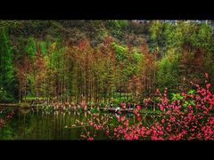 -重庆彩云湖湿地公园
