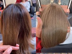 -IP SALON
