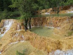 -黄龙山原始森林景区
