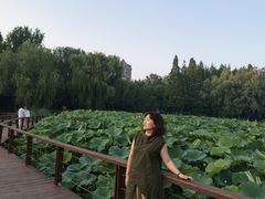 -前关湿地公园