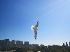 -五甲塘生态湿地公园