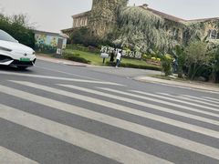 -成都当代影像馆