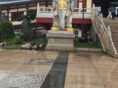 -庐山风景名胜区-东林大佛