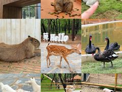 -南戴河国际娱乐中心