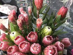 -杭州街角花屋花店(闻堰店)