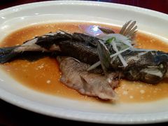 清蒸笋壳鱼-小龙酒家(桂平路店)