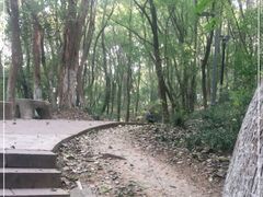 -赭山公园
