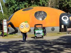 -朝阳公园游乐园