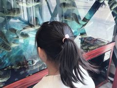 -肆月河豚·新淮扬(金融街店)