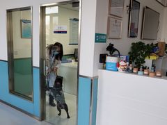 -欧奕国际动物医院