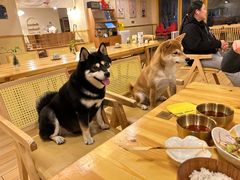 -柴の食堂·日式家庭料理·熊之肆(大学路店)