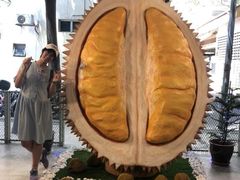 -都念榴莲·城市榴莲