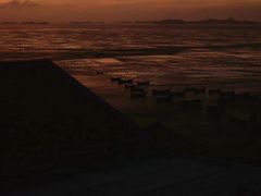 -枸杞岛