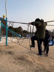 点击看大图 -季高兔窝窝亲子园(上海薰衣草公园店)