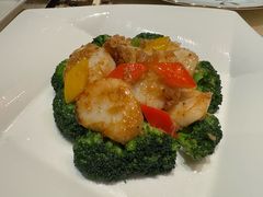 -8餐厅(新葡京酒店)