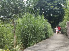-成都市活水公园