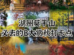 -莫干山风景区