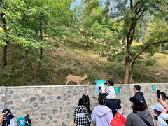 -大连森林动物园