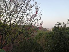 -飞凤山奥体公园