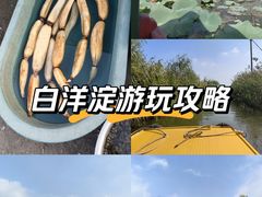-白洋淀景区