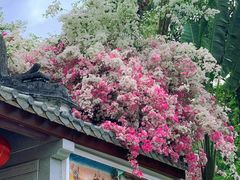 -深圳国际园林花卉博览园