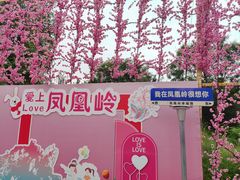 -北京凤凰岭