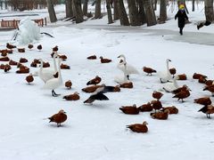 -新疆天山野生动物园
