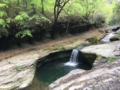 -黎坪国家森林公园