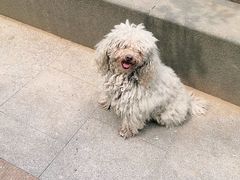 -金宫殿故址