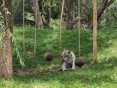 -北京野生动物园