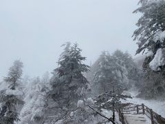 -峨眉山风景名胜区
