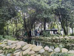 -成都市活水公园
