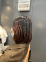 -藤野造型