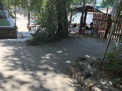 -尚庄度假村·庭台树下·户外烧烤·团建CS·轰趴营地(上庄水库店)