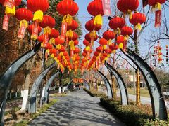 -武汉园博园(武汉自然博物馆)