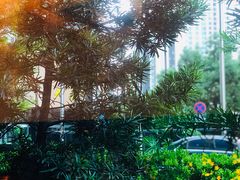 -上海龙之梦万丽酒店