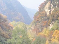 -红崖峡谷景区
