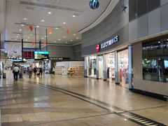 -奥利弗·雷金纳德·坦博国际机场