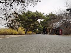 -北陵公园