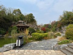 -上海吴淞炮台湾国家湿地公园