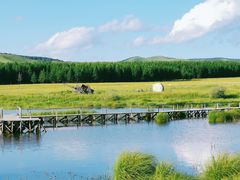 -塞罕坝国家级自然保护区