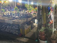 -曲阳花鸟市场(曲阳路店)