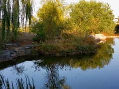 -北京西山国家森林公园