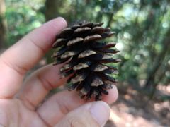 -白云山风景名胜区