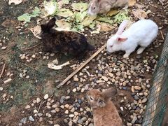 -扬州天乐湖嬉乐谷