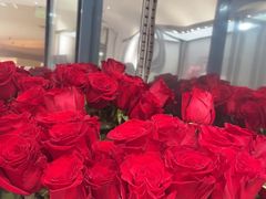 -ROSEONLY诺誓(广州K11店)