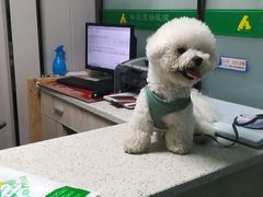 -半岛宠物医院24小时(科华中路店)